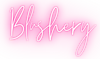 blushery logo