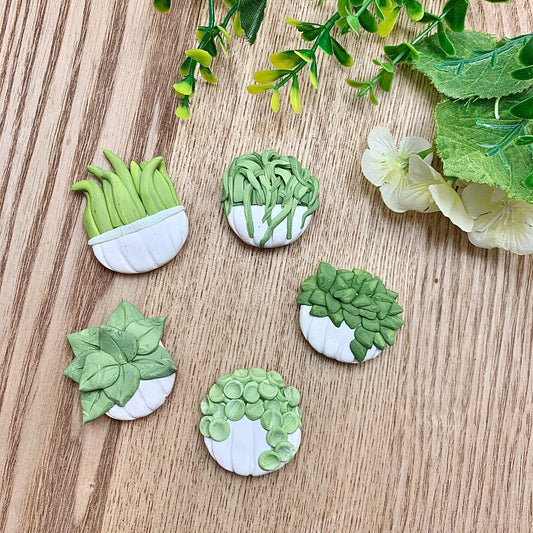 fridge magnet set, 5 succulent plant in pots magnets for kitchen, office or classroom decor