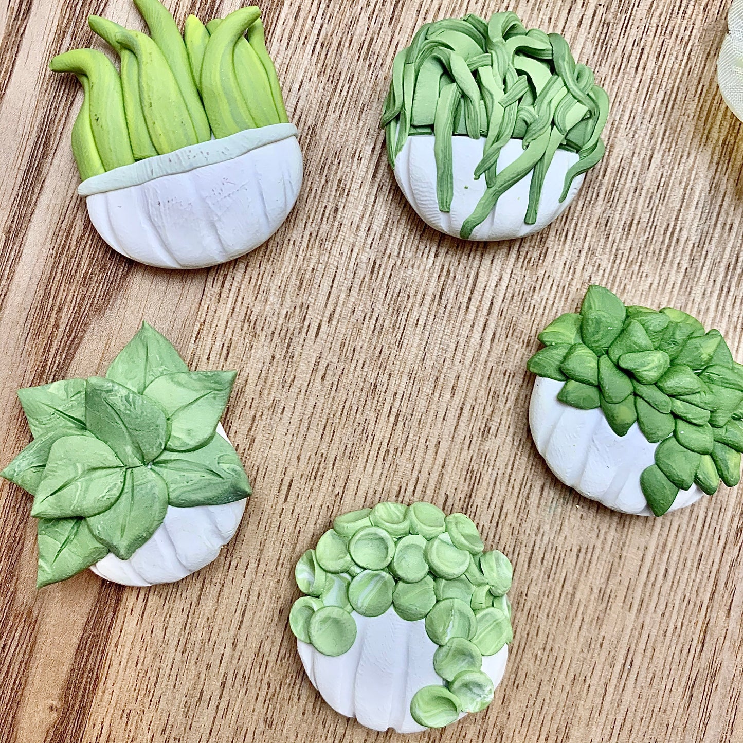 set of 5 plant pot magnets featuring white pots with modern greenery