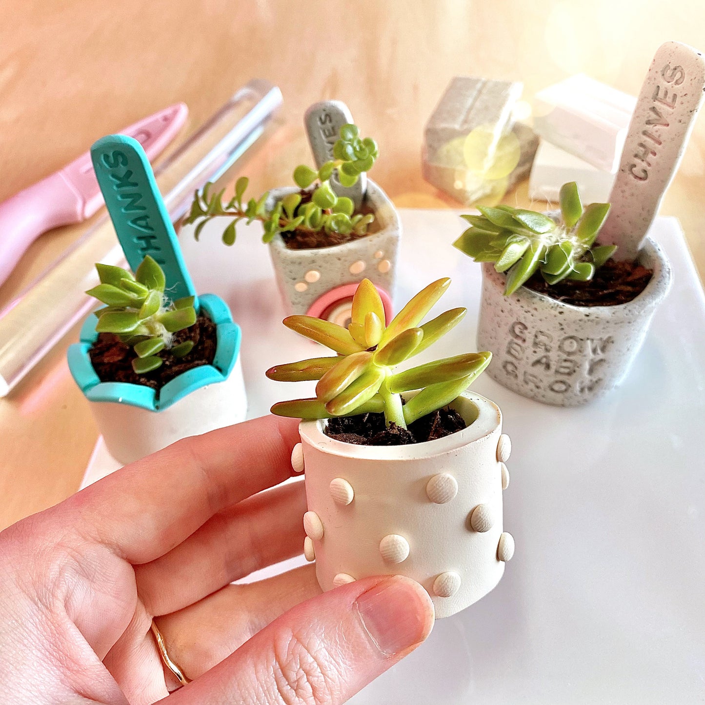 make your own mini succulent planters in thie brisbane polymer clay workshop